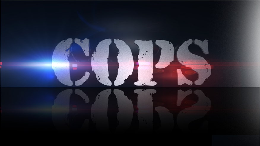 Cops logo tv show.jpg